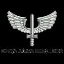 FORÇA AÉREA